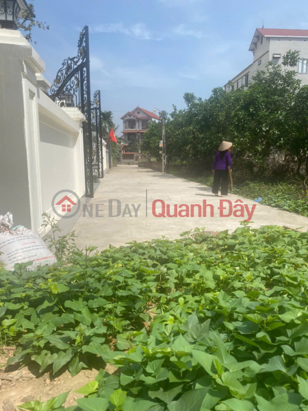Mình cần bán nhanh đất Tráng Việt, Mê Linh, HN - Chính chủ mình luôn Niêm yết bán