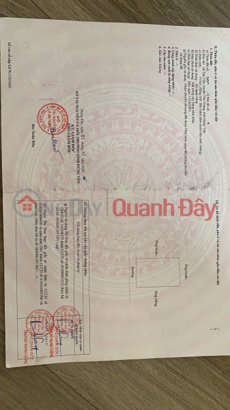 Property Search Vietnam | OneDay | Residential, Sales Listings | OWNER Sells Land Every Year - GOOD PRICE - In Tan Tien Commune, Van Giang District, Hung Yen