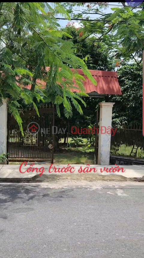 Đất 2 mặt tiền Đường Nguyễn Thị Lèn, Xã Trung An (nay là xã Bình Mỹ) Huyện Củ Chi _0