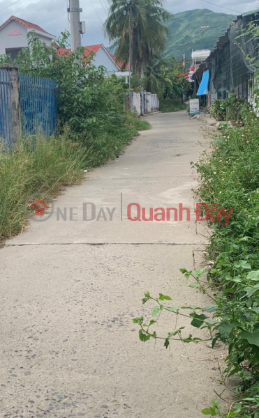 Property Search Vietnam | OneDay | Residential, Sales Listings, BEAUTIFUL LAND - GOOD PRICE - Owner For Sale Land Lot In Trung 1 Village, Dien Dien Commune, Dien Khanh, Khanh Hoa