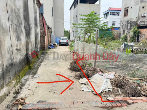 Bán gấp lô đất thôn Bạch Đa, Kim Hoa, Mê Linh, HN. Đất vuông vắn, không lỗi, ô tô đỗ _0