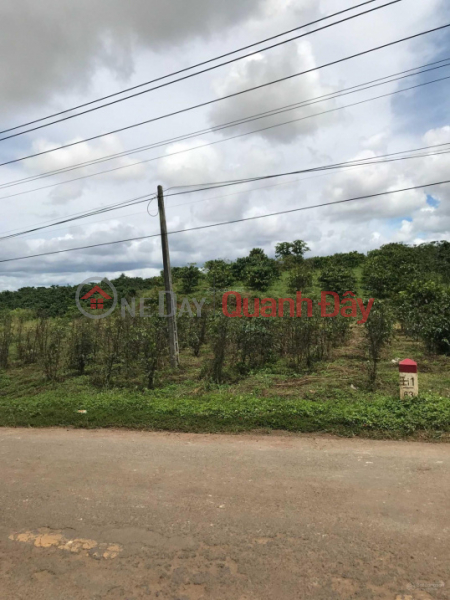 Property Search Vietnam | OneDay | Nhà ở, Niêm yết bán | Bán đất 2 MT QL 28B Đức Trọng, Lâm Đồng, 10 x 50m, (200)m2 TC, giá 3,8 tỷ