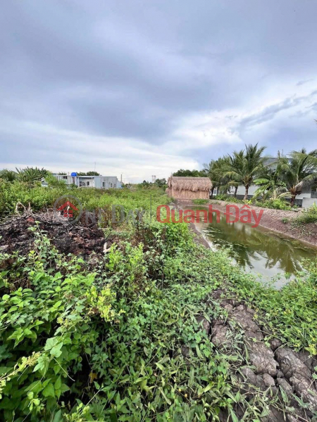 ĐẤT NỀN MẶT TIỀN + KÈM VUÔNG LIỀN KỀ Tại Ấp 2, Thị trấn Cái Đôi Vàm, Huyện Phú Tân, Cà Mau Niêm yết bán