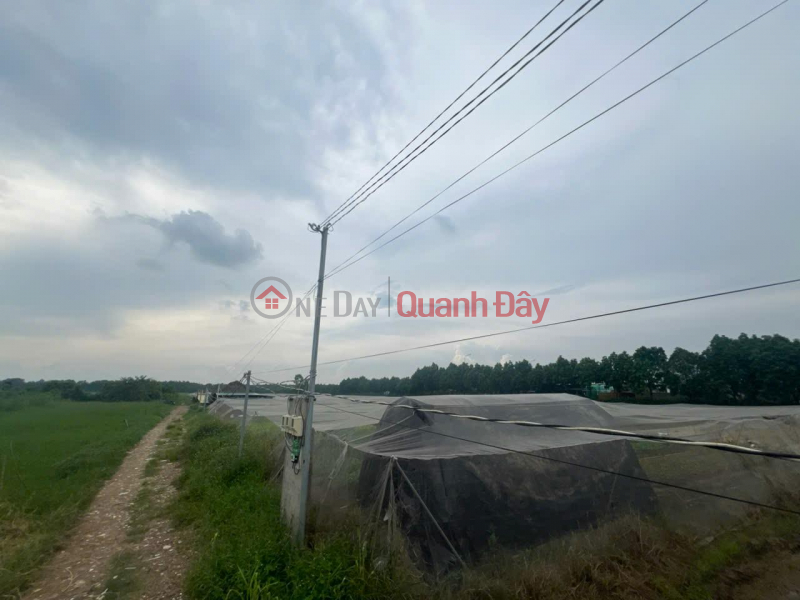 Property Search Vietnam | OneDay | Residential, Sales Listings PROFITABLE INVESTMENT - Owner Needs to Sell a Beautiful Land Plot in Xuan Thoi Thuong Commune, Hoc Mon, HCM