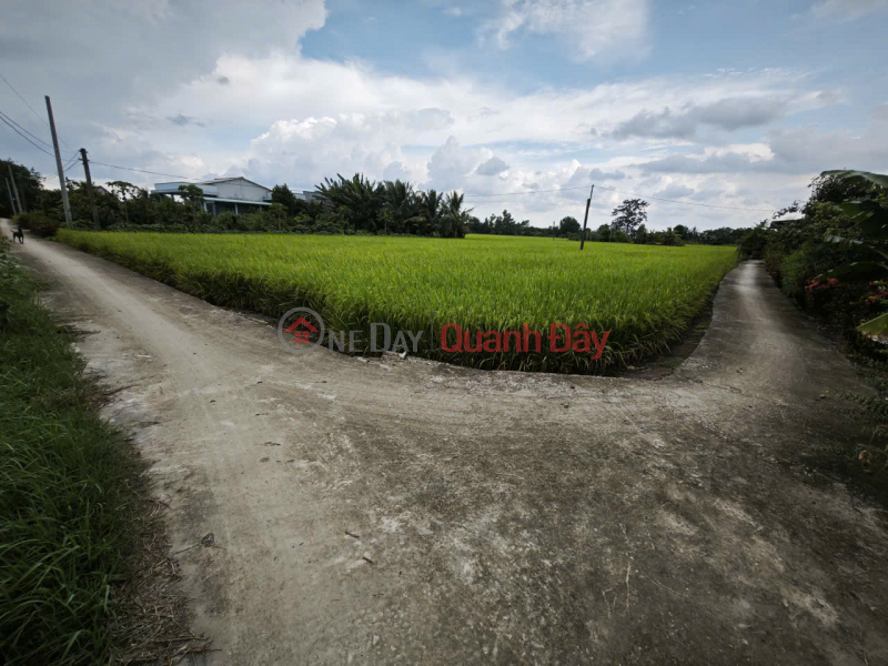 Selling rice plot with two concrete roads for 950 million Vietnam Sales | đ 950 Million