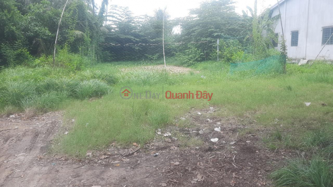 BEAUTIFUL LAND - GOOD PRICE - Own Land Lot 2 Fronts Location In Thanh Phu - Ben Tre, Vietnam, Sales đ 1.8 Billion