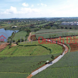 Bao Lam shr land is suitable for building resort garden villas _0