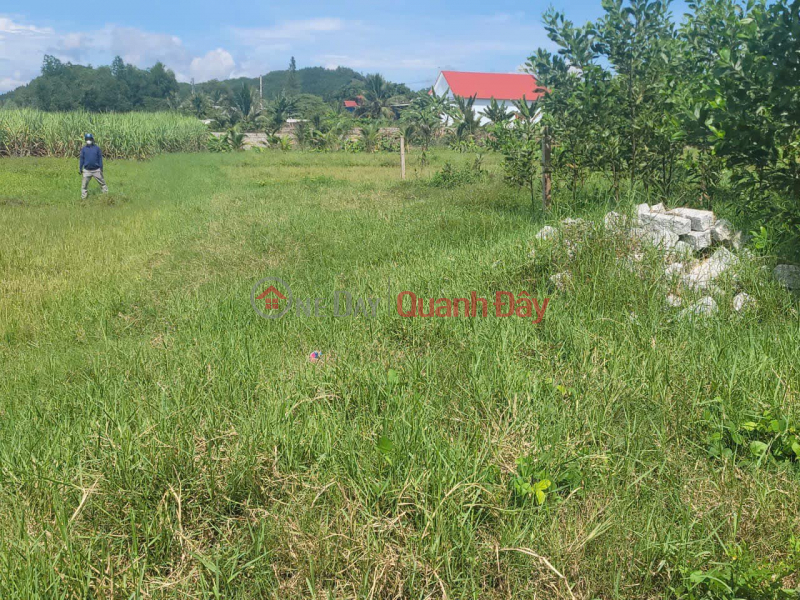 đ 500 Million | RESIDENTIAL LAND FOR SALE - LOW PRICE OWNER LAND IN DIEN TAN, DIEN KHANH