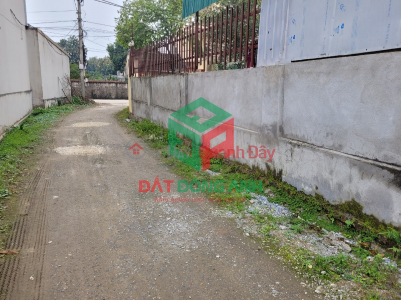 Land for sale in Dong village, Nguyen Khe - 58m - Clear road - Truck to land Sales Listings