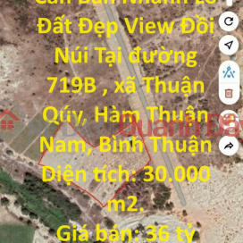 BEAUTIFUL LAND - GOOD PRICE - For Quick Sale Beautiful Land Lot with Hill and Mountain View in Thuan Quy, Ham Thuan Nam _0