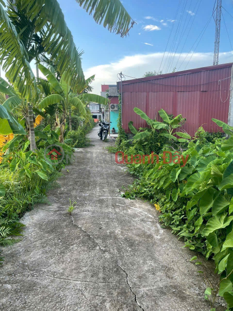 Giá hiếm 6xx triệu – Lô 62.3m² tuyến 2 Bình Minh, Nam Đồ Sơn, đầu tư sinh lời nhanh – ZALO 0567 222 555 _0