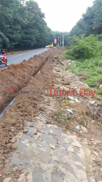 đ 5 Billion, Owner Sells Street Front Land for Business in Binh An Commune, Long Thanh, Dong Nai