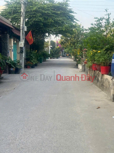 OWNER NEEDS TO QUICKLY SELL a street-front plot of land in a beautiful location - good price in District 12, HCMC, Vietnam, Sales, đ 4.2 Billion