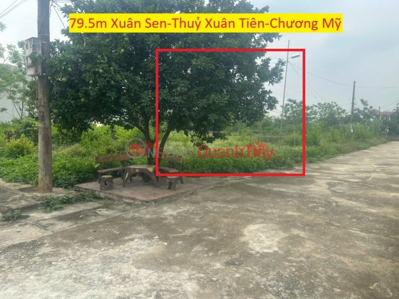 ĐẤT ĐẸP GIÁ RẺ 79,5M TẠI THỦY XUÂN TIÊN-CHƯƠNG MỸ-HÀ NỘI Niêm yết bán