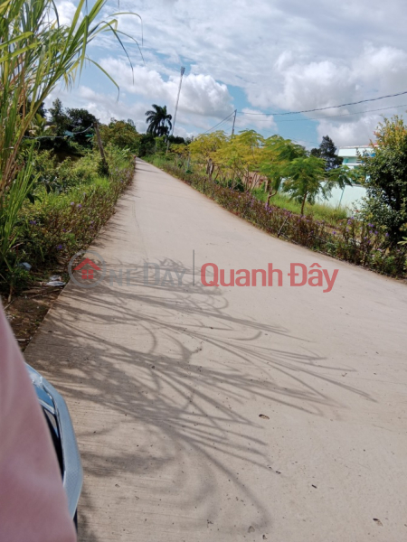 Property Search Vietnam | OneDay | Residential | Sales Listings OWNER Needs To Sell Front Facade Location In My Xuyen, Soc Trang. Car comes to the background