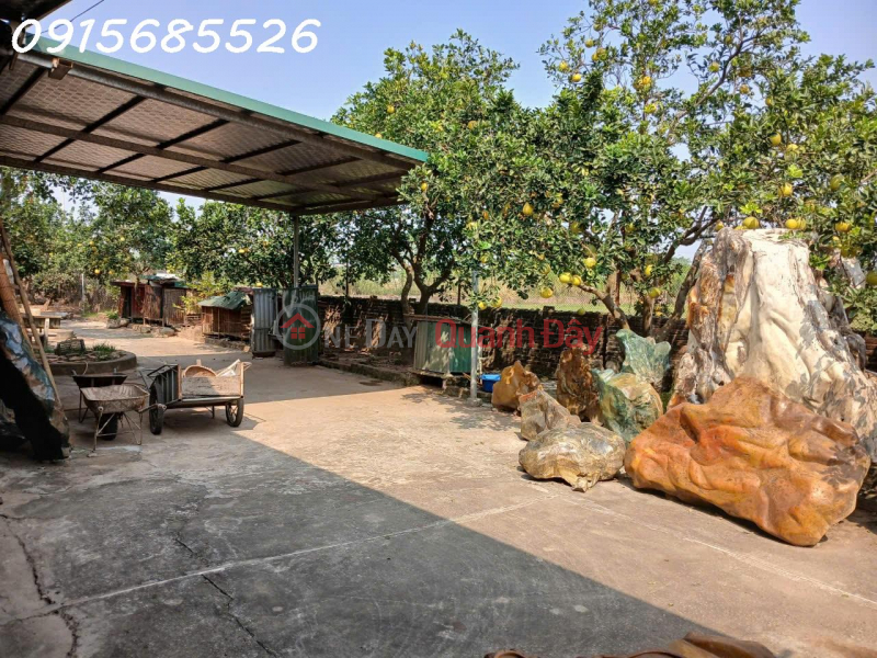 Old and need to sell a garden house of about 1,800m2 of 50-year-old land in Van Con commune, Hoai Duc Sales Listings