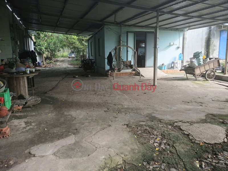 Property Search Vietnam | OneDay | Residential | Sales Listings Land for sale in Dinh Hiep, Dau Tieng - Over 4,300m2, price only 4.5 billion VND, now part of Ho Chi Minh City - Great potential.