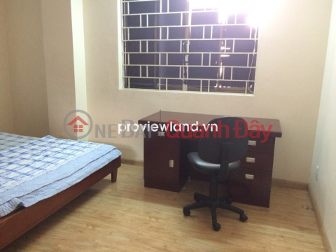 Apartment for rent on CMT8 street with 2 bedrooms near Le Thi Rieng park _0