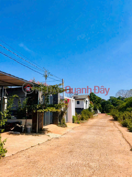 Property Search Vietnam | OneDay | Residential | Sales Listings, Urgent sale of a 125m2 plot in Him Lam, with 75m2 of residential land, accessible by two cars, near Tan An Industrial Park, direct sale from owner.