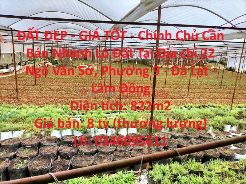BEAUTIFUL LAND - GOOD PRICE - Owner Needs To Sell Quickly Land Lot In Da Lat City, Lam Dong Sales Listings