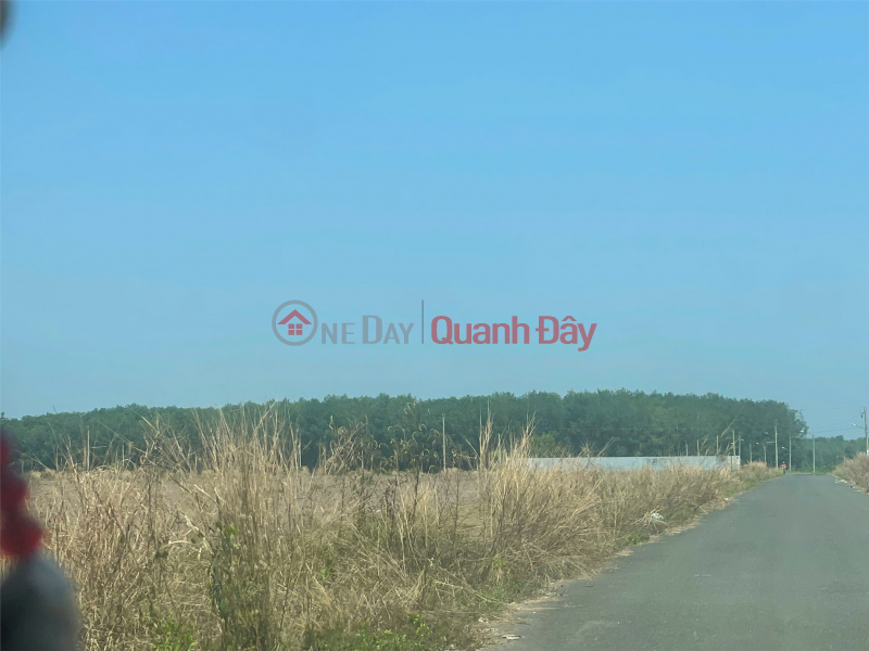 , Làm ơn chọn | Nhà ở Niêm yết bán, đ 750 triệu