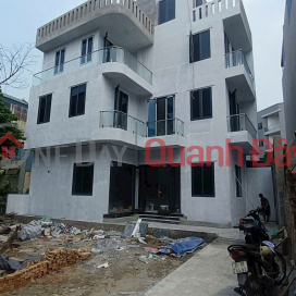 LONG BIEN - NEWLY BUILT 4-STOREY VILLA FOR SALE - FULL FUNCTIONALITY, PRICE ABOVE 9 BILLION _0