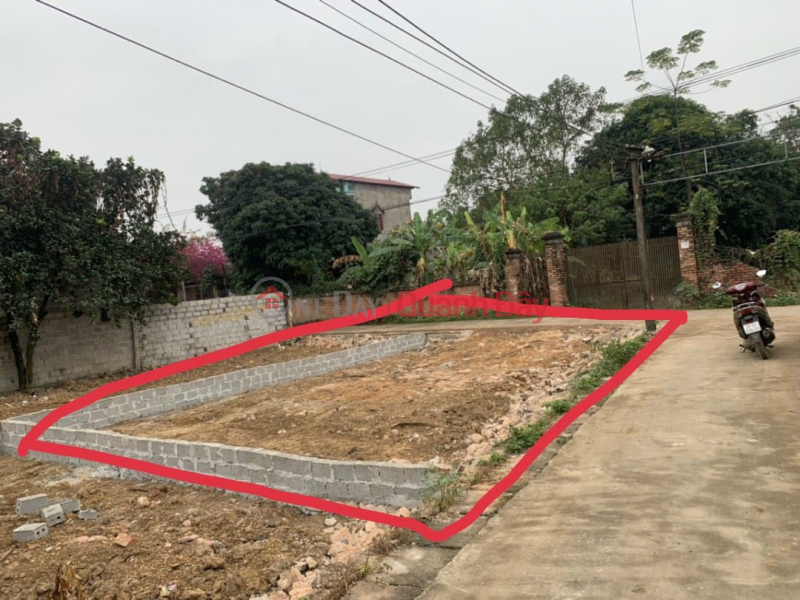 Property Search Vietnam | OneDay | Residential | Sales Listings | The owner sent for sale a plot of land of 81.5m2, only 1.x billion (x tiny),at Xom 4, Thuy Xuan Tien, Chuong My, Hanoi, alley