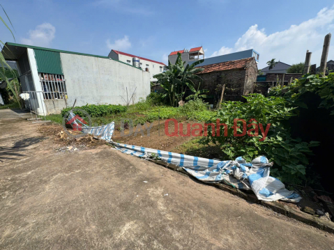Selling 50m2 of land in Trang Viet, Me Linh. Car parking. A few minutes to Bac Thang Long industrial park. _0