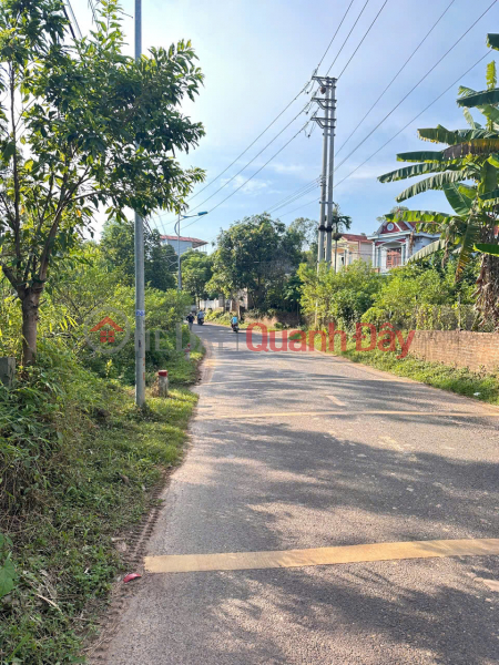 Chính chủ gửi bán gộp 2 lô đất đẹp - Đất ở và đất trồng cây lâu năm Niêm yết bán