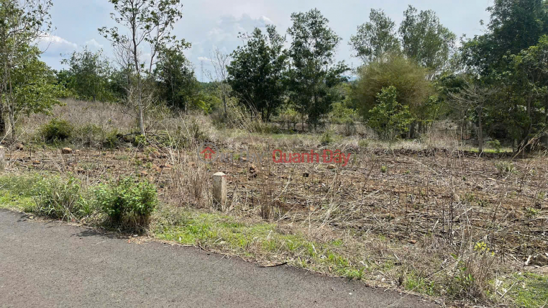 Property Search Vietnam | OneDay | Residential, Sales Listings | BEAUTIFUL LAND - PROFITABLE INVESTMENT - OWNER Need to Sell Land in Da Bac Commune, Chau Duc, BRVT