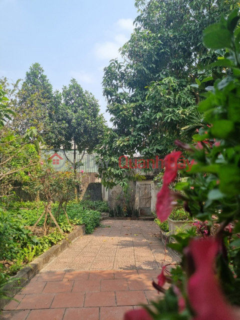 Bán nhà vườn kiểu Nhật ở Sơn Tây, Hà Nội 2 mặt tiền đường 4 làn xe _0