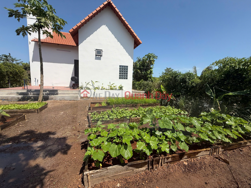 đ 3.1 Billion, Own a 400m2 plot of land with street frontage at Greenery House, Ba Ria Vung Tau for only 3.1 billion VND.