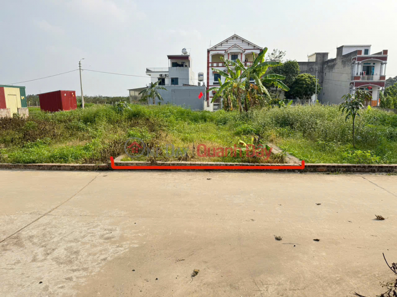 Property Search Vietnam | OneDay | Residential | Sales Listings | Urgent sale of 62m² land in Group 9, Quang Minh, Me Linh. Fully residential land, accessible road, cars can pass each other.