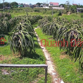 PRIME LAND FOR SALE - GREAT PRICE - URGENT SALE OF A PLOT OF LAND IN A STREET LOCATION IN HAM THUAN NAM, BINH THUAN PROVINCE _0