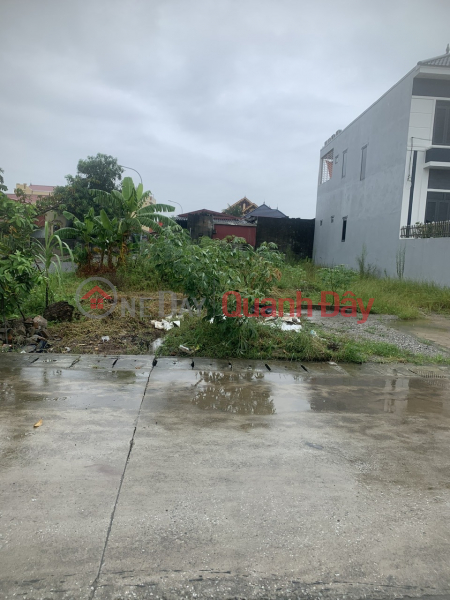 Owner transferring 120m2 of land in Duc Phong, Dai Dong, Kien Thuy - 15m road, 2 separate land titles. Sales Listings