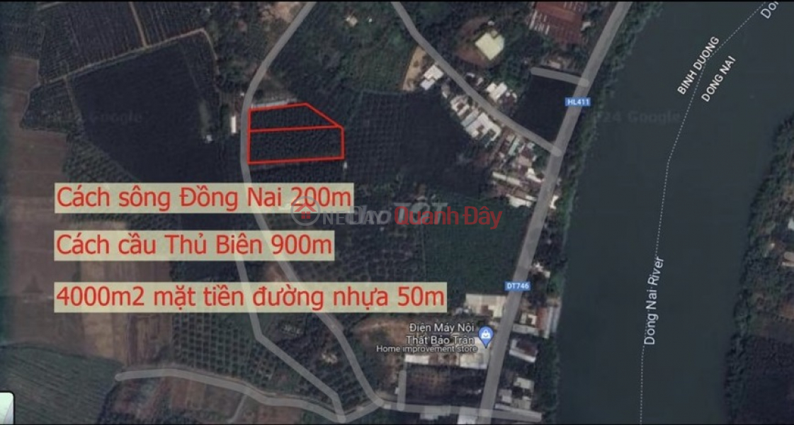 BEAUTIFUL LAND - GOOD PRICE! Owner Urgently Needs to Sell Garden Land in Thuong Tan Commune, Bac Tan Uyen, Binh Duong | Vietnam | Sales đ 15 Billion