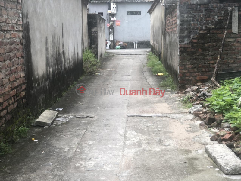 Property Search Vietnam | OneDay | Residential | Sales Listings | The owner needs to sell urgently 53.6m Dong Tru village, Dong Hoi commune, Dong Anh 7c highway, public price 53.6 million\\/m2 investment