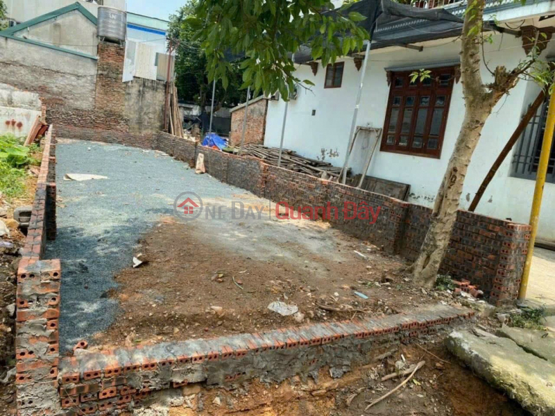 Property Search Vietnam | OneDay | Residential, Sales Listings Consignment for sale of 83m2 (full residential) of land in Ngoc Hoa, Chuong My-HN, corner lot, bypass car, business, adjacent to Dk Chuc hospital