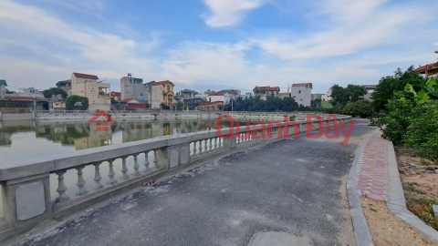 LAND FOR SALE IN THACH CAU CITY (LONG BIEN) - CORNER LOT - BUSINESS - AUTOMOBILE - FUTURE TRAN HUNG DAO BRIDGE - 50 M2 - NHH _0