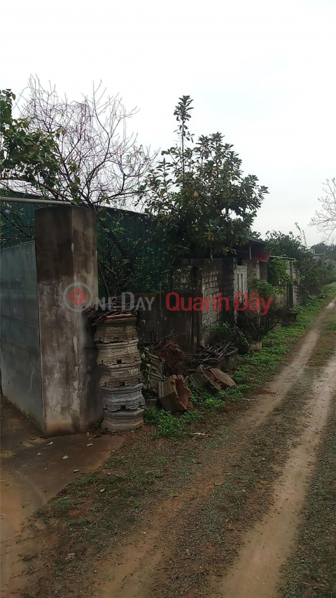 OWNER NEEDS TO SELL LAND LOT IN Dong Son - Tam Diep - Ninh Binh _0