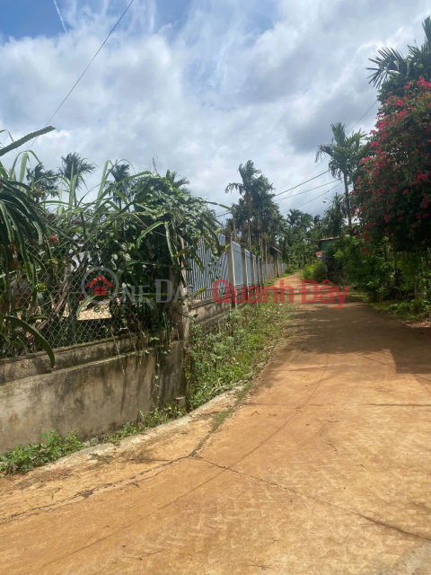 Chính chủ bán đất Cư Kuin, Đắk Lắk - Mặt tiền bê tông, nở hậu 26m - Sổ đỏ đầy đủ, giá tốt _0