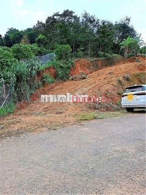 ĐẤT ĐẸP - GIÁ ĐẦU TƯ –CHÍNH CHỦ CẦN BÁN LÔ ĐẤT TẠI Thôn 10, xã Lộc Nam, Bảo Lâm, Lâm Đồng _0