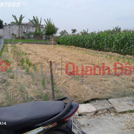 Need money to quickly sell a super nice plot of land in the center of Quat Lam town, area 212m2, price 2.1 billion _0