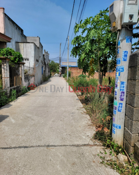 Property Search Vietnam | OneDay | Nhà ở | Niêm yết bán, Đất đầu tư - TT ĐẤT ĐỎ Giá Chạm đáy