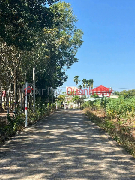 Property Search Vietnam | OneDay | Residential, Sales Listings | URGENT SALE 7370M2 RESIDENTIAL LAND FRONTAGE DT743, TAN HIEP, HON QUAN, BINH PHUOC - ONLY 4.5 BILLION - RED BOOK