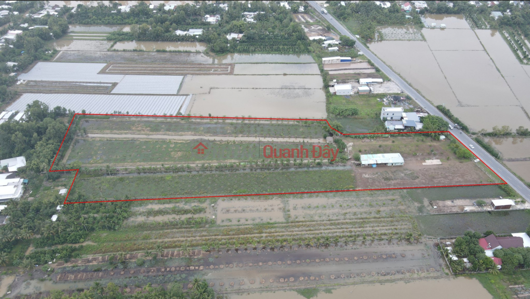 Land with extremely attractive price, with large area and frontage at National Highway 91B