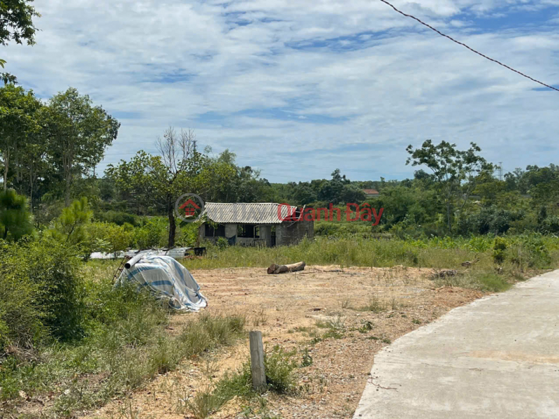 Land for sale on Nguyen Viet Xuan Street – Thanh Thuy Ward (Thuy Phuong) – Hue City | Vietnam, Sales, đ 4.2 Billion