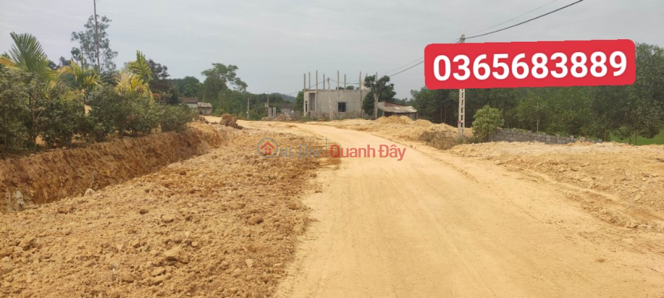 subdivision of land plot for residential area tho Binh million paint, area 200m2 Sales Listings