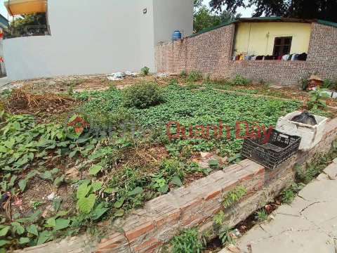 Owner E super product for investors - Prime location in Luong Quy, Dong Anh _0
