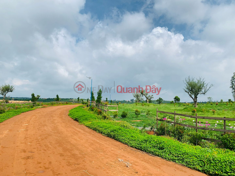 Forest garden land has residential area from only 1.1 million/m2 Sales Listings